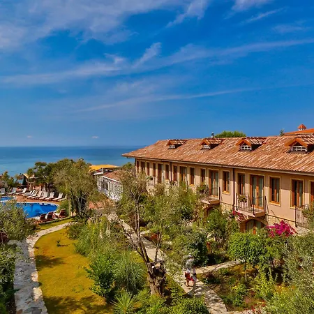 Palace Olive Odore Küçükkuyu