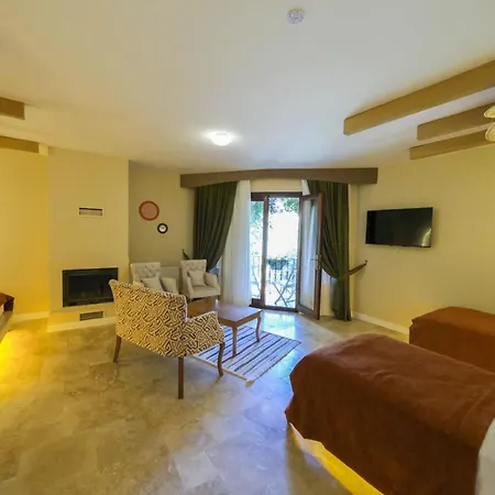 Palace Olive Odore 3*