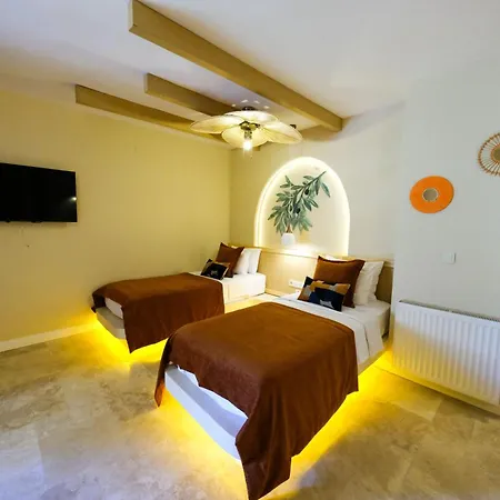 Palace Olive Odore فندق كيتشوكويو