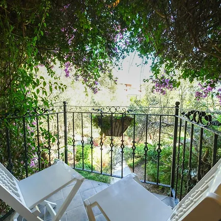 فندق Palace Olive Odore