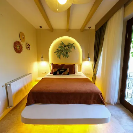 فندق Palace Olive Odore كيتشوكويو