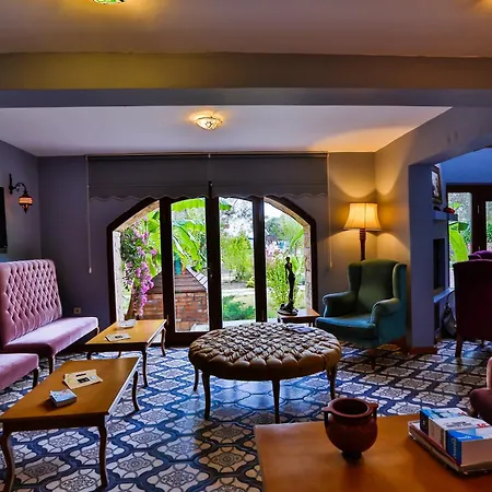 Palace Olive Odore Hotel