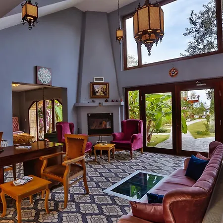 Palace Olive Odore Hotel 3*