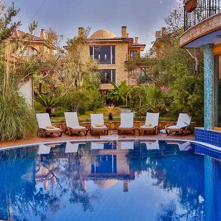 Palace Olive Odore Küçükkuyu