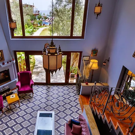 Palace Olive Odore 3*