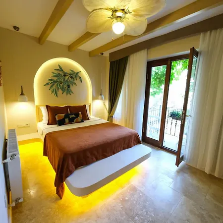 Hotel Palace Olive Odore