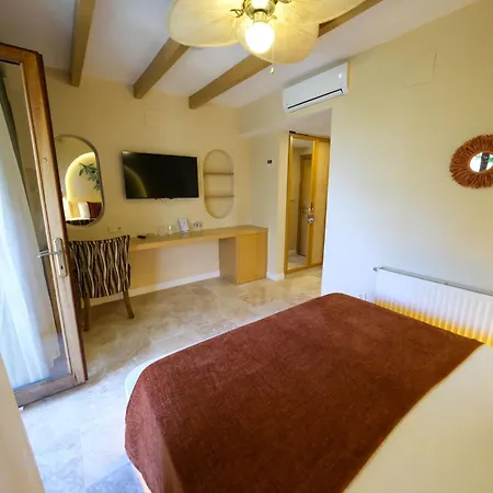 Hotel Palace Olive Odore 3*