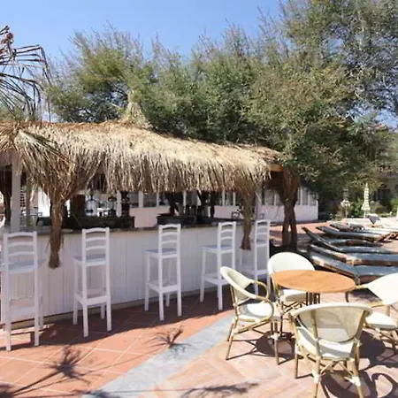 Palace Olive Odore 3*