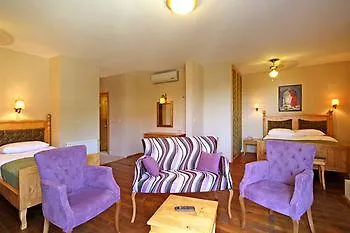 Palace Olive Odore 3*