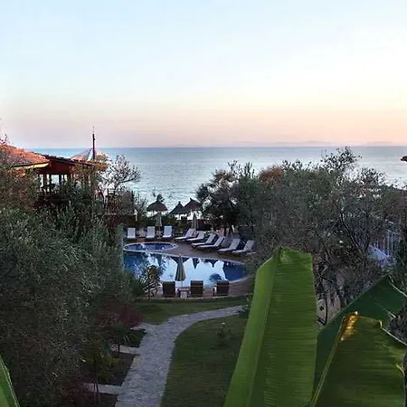 Hotel Palace Olive Odore 3*