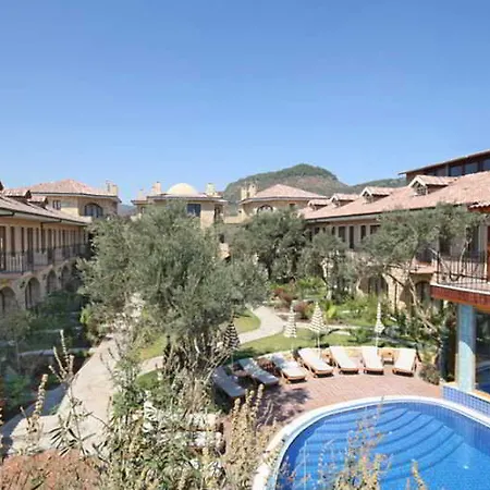 Palace Olive Odore Küçükkuyu