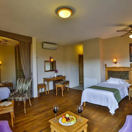 Hotel Palace Olive Odore