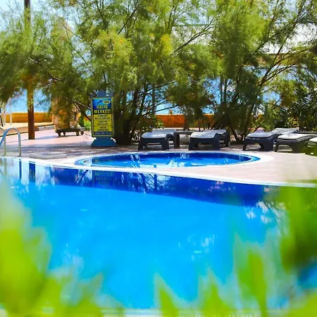 Palace Olive Odore Küçükkuyu